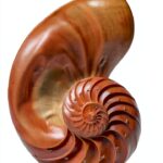 Princeton University Press Mathematics Reference Book Kindle-0